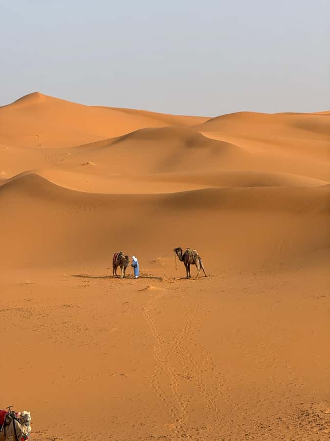 3-Day luxury Adventure: Marrakech to Merzouga incl.Quad/show - Camel bells, sunset, and a night in Erg Chebbi