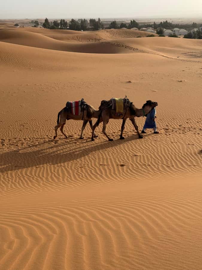 3-Day luxury Adventure: Marrakech to Merzouga incl.Quad/show - The long return to Marrakech