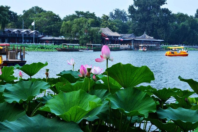 3-Hour Private Hutong Walking Tour with Drum Show at Drum Tower and Tea Tasting - Key points to know before booking