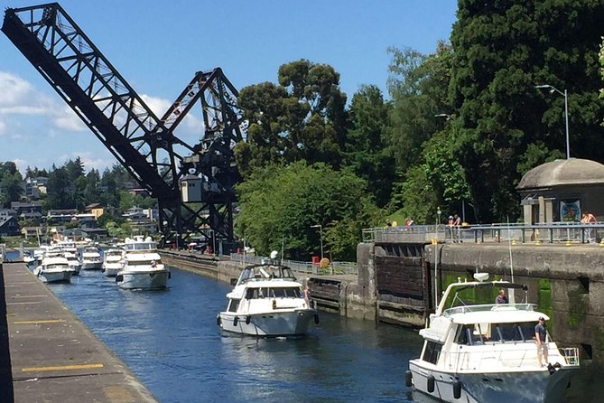 3 Hour Show Me Seattle Best Of The City Tour - Ballard Locks, salmon, and the best stop on the route