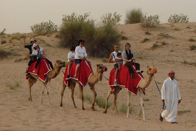 4X4 Dubai Desert Safari with BBQ dinner, Camels & Live Show - Sunset, tea, camels, and henna at the camp