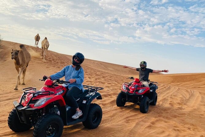 4X4 Dubai Desert Safari with BBQ dinner, Camels & Live Show - The return drive and what the schedule means