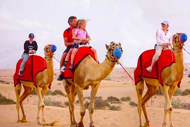 6 Hour Thrilling Desert Safari in 4x4 with Entertainment Show - The camel ride is short and mainly for pictures