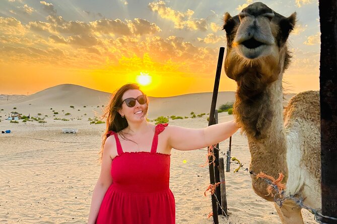 Abu Dhabi: Evening Desert Safari with Camel Ride, BBQ & Live Show - Camel farm, feeding, and the short ride