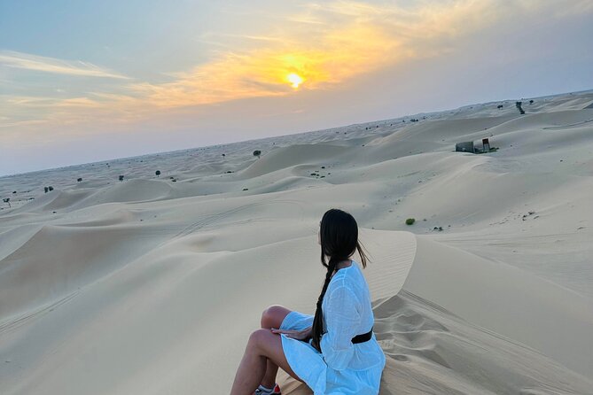 Abu Dhabi: Evening Desert Safari with Camel Ride, BBQ & Live Show - Is $72 good value?