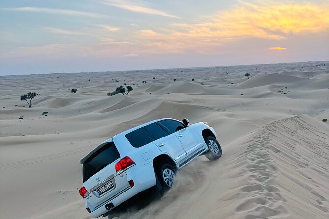 Abu Dhabi: Evening Desert Safari with Camel Ride, BBQ & Live Show - Dune bashing in a Land Cruiser