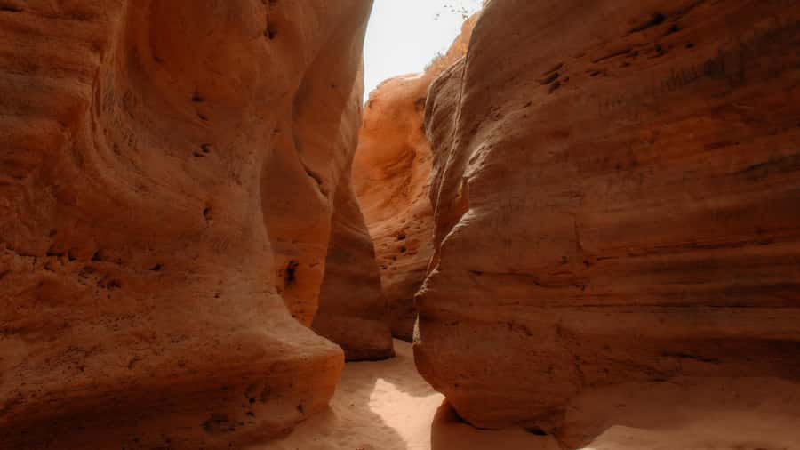 Agadir/Taghazout: Sandboarding & Sunset Tea with Fire Show - Who should book this outing