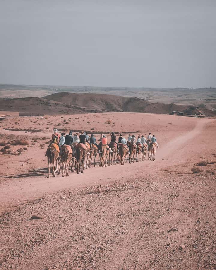 Agafay Desert: 30-Min Quad, Sunset Camel & Dinner - From Marrakech to the Agafay Desert