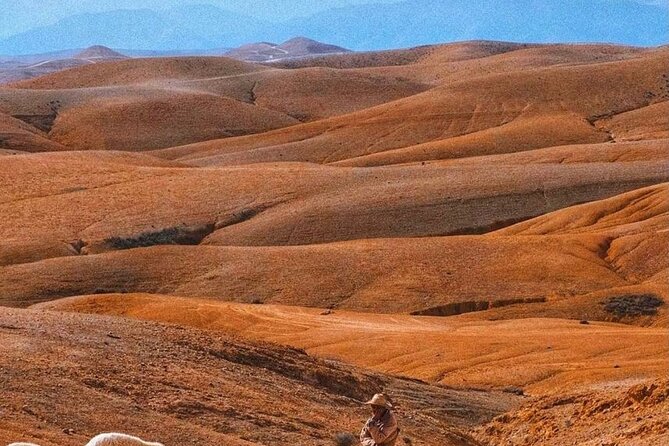 Agafay Desert: Dinner + Show with Quad Bike & Sunset Camel Ride - Who will enjoy this evening most