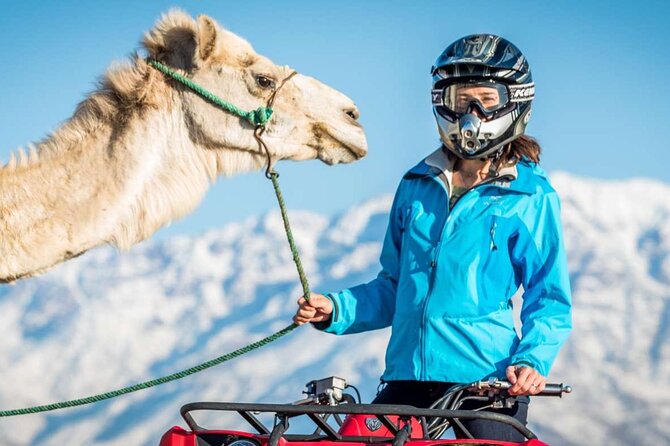 Agafay Desert Package, Quad Bike, Camel Ride and Dinner Show - Quick points before you book