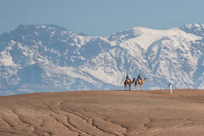 Agafay Desert Package, Quad Bike, Camel Ride and Dinner Show - What $37 really gets you