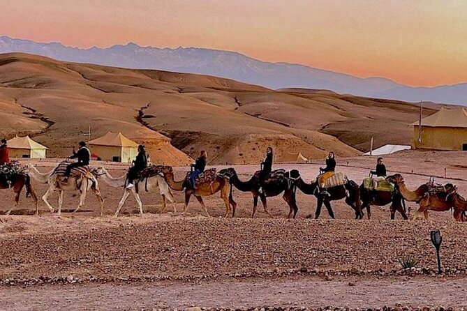 Agafay Desert Sunset Tour with Camel Ride ,Dinner and Show - Shared van or private group?