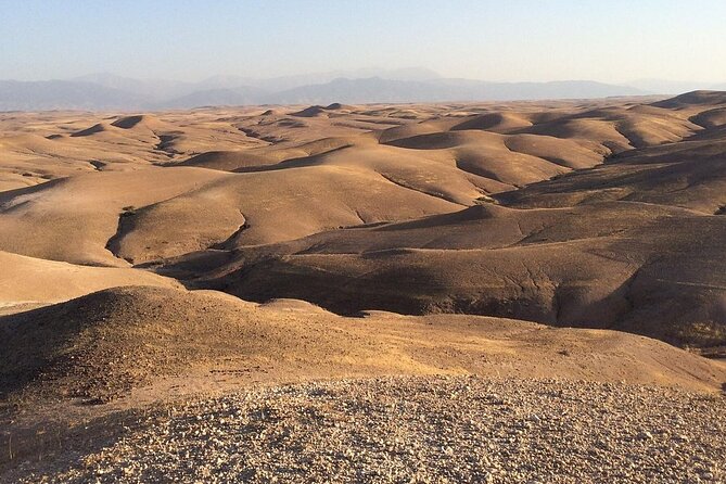 Agafay Desert Sunset Tour with Camel Ride ,Dinner and Show - Is $74 per person good value?