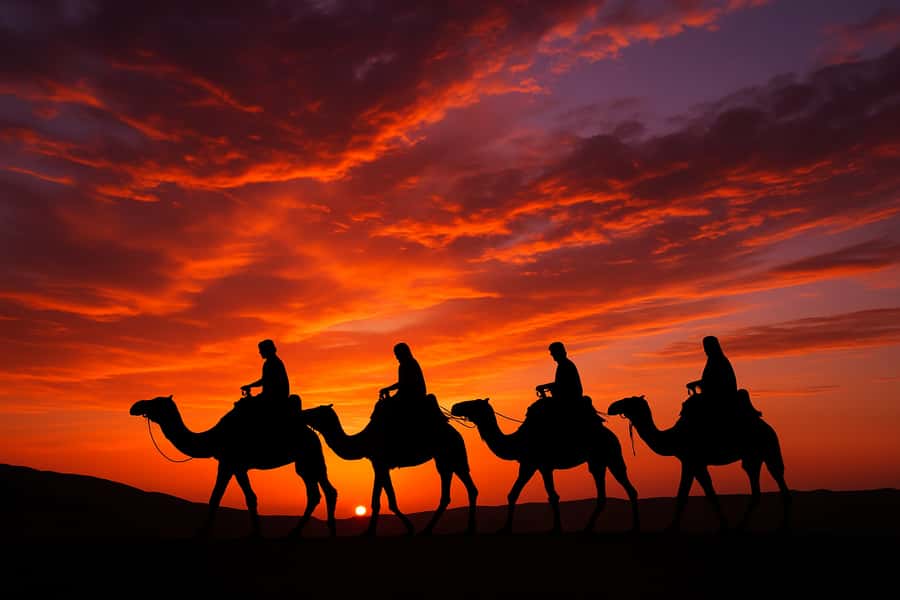Agafay: Quad, Camel Ride & Dinner Show from Marrakech - Is $22 good value?