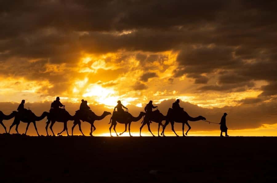 Agafay: Quad, Camel Ride & Dinner Show from Marrakech - Who should book this Agafay outing?