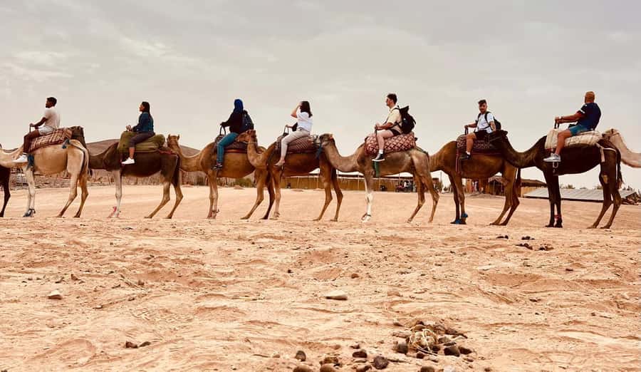 Agafay Sunset Experience: Quad, Camel Ride & Dinner - Tea, dinner, and a campfire under the stars