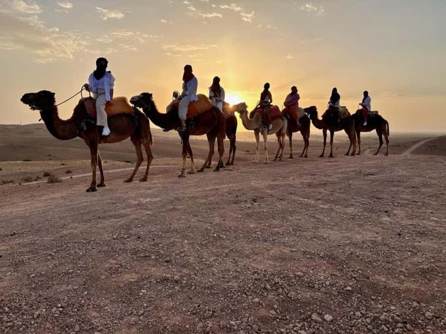 Agafay tour Quade Bike, Sunset and Romantic Dinner Show - Quad biking across Agafay’s rocky trails