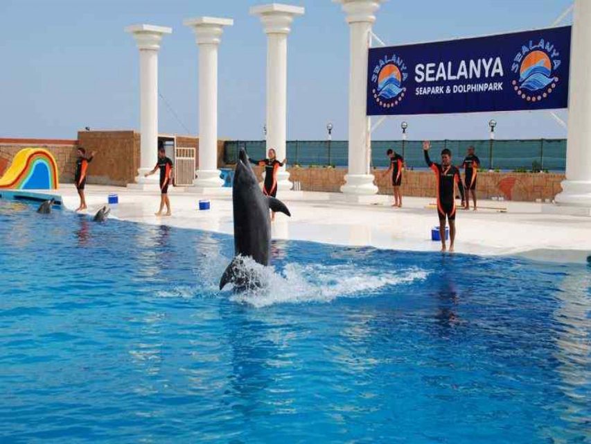 Alanya: Dolphin and Seal Show Ticket with Hotel Transfers - The dolphin performance: graceful, loud, and close to the audience