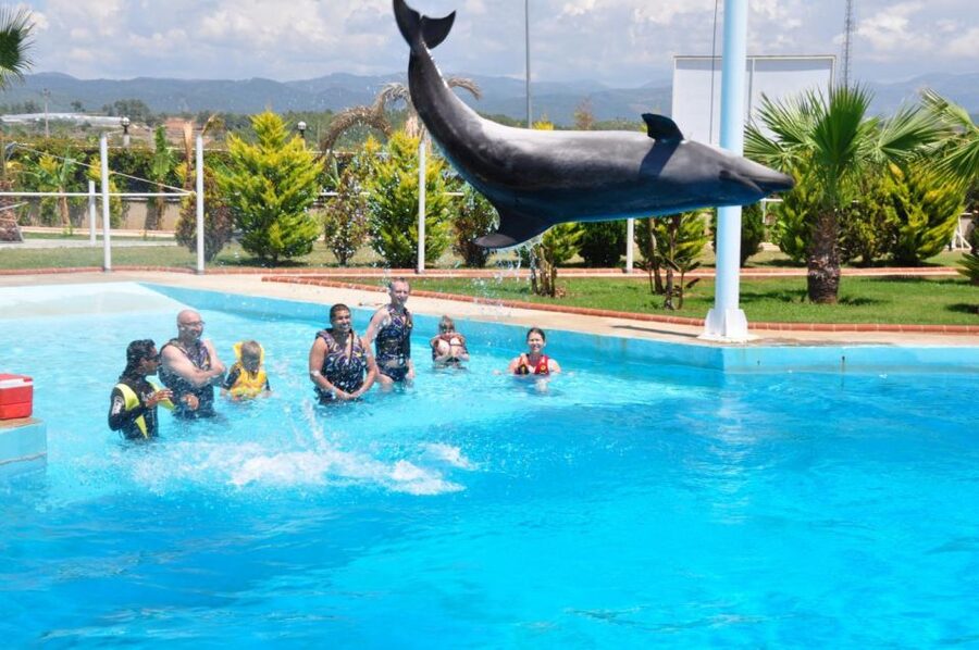 Alanya: Dolphin and Seal Show Ticket with Hotel Transfers - The seals steal the comic part of the show