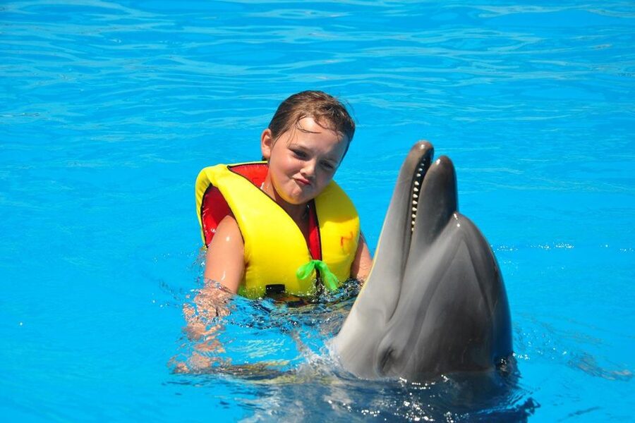 Alanya: Dolphin and Seal Show Ticket with Hotel Transfers - Where to sit, especially with children