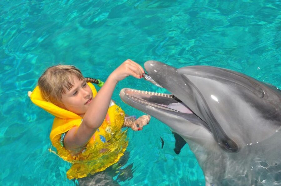 Alanya: Dolphin and Seal Show Ticket with Hotel Transfers - Who will enjoy this experience most