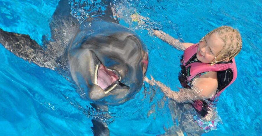 Alanya: Dolphin and Seal Show Ticket with Hotel Transfers - Getting there from your Alanya hotel