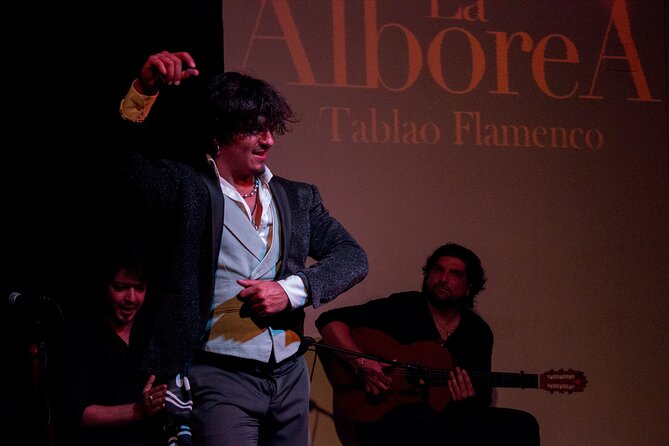 Albaicín and Sacromonte Walking Tour and Flamenco Show - What the $33.72 price includes