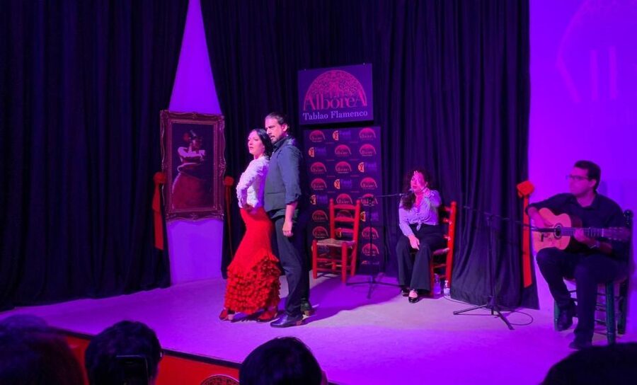 Albaicín & Sacromonte: Tour with Flamenco Show - Is $30 a good deal?