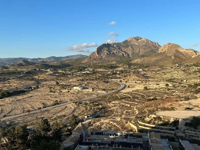 Alicante & Campello: Cueva Canelobre time travel + musical museum - A musical museum with an unexpected international angle