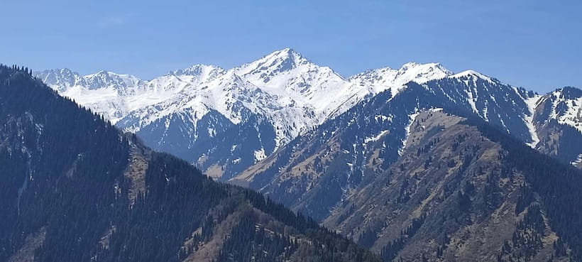 Almaty: Falconry show and Big Almaty Gorge - What the $130 price really covers
