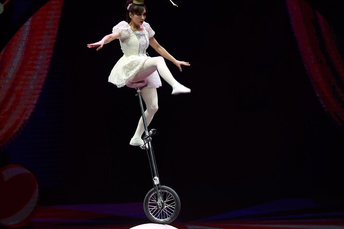 Amazing Acrobats: Grand Shanghai Circus Show in Branson - Comedy and audience participation between the stunts