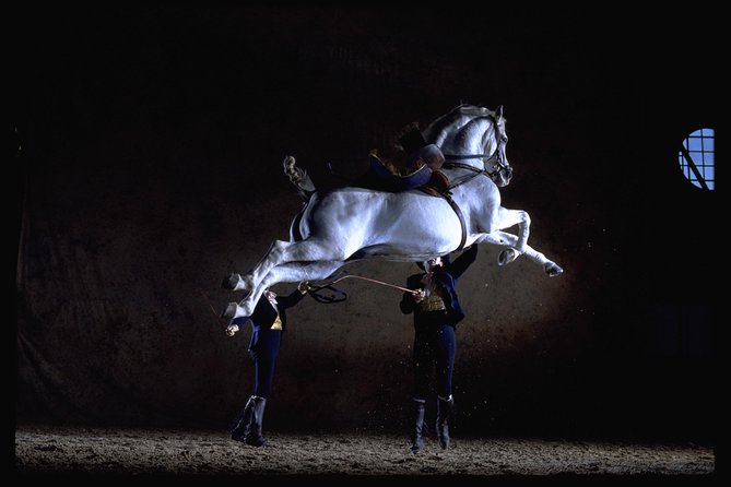 Andalusian Horses Dance Show - Key things to know before you book