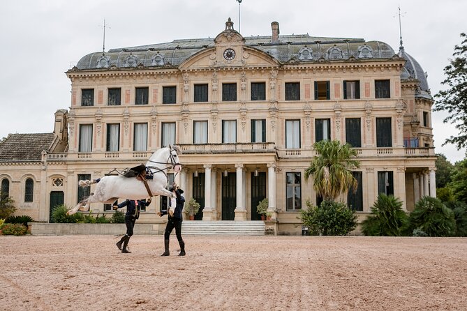 Andalusian Horses Dance Show - Why the Andalusian horse show is worth your time