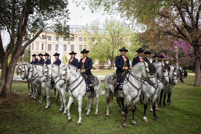Andalusian Horses Dance Show - Who will enjoy this most?