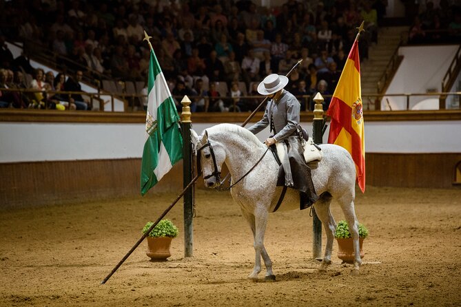 Andalusian Horses Dance Show - What happens inside the 90-minute performance