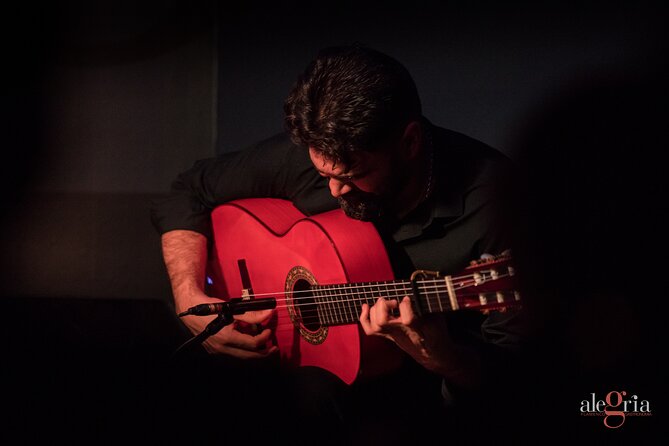 Authentic flamenco show. Alegria and gastronomy Malaga - What happens during the performance