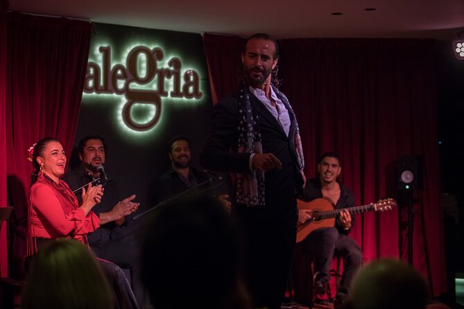 Authentic flamenco show. Alegria and gastronomy Malaga - The intimate theatre has benefits and limits