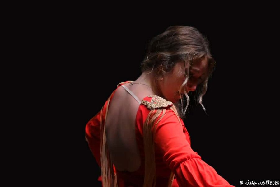 Authentic Flamenco Show Valencia - Flamenco with a Hard Rock twist