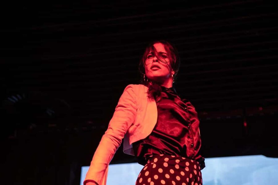 Authentic Flamenco Show Valencia - Value at $23 per person