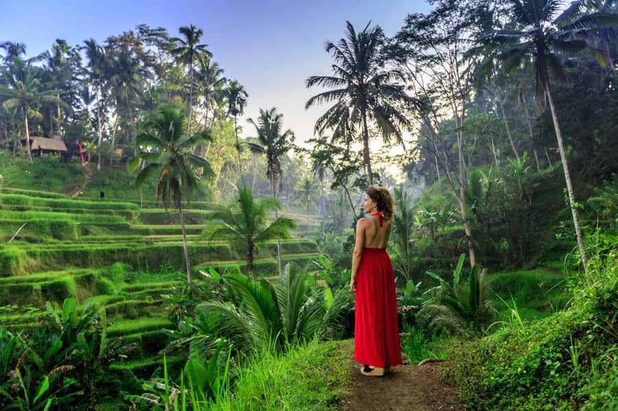 Bali: Barong Dance Show, Ricefields Tegallalang & Waterfall - Should you book it?