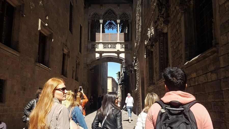 Barcelona: 4-Hour Tapas Evening Tour and Flamenco Show - Should you book the tapas and Flamenco evening?