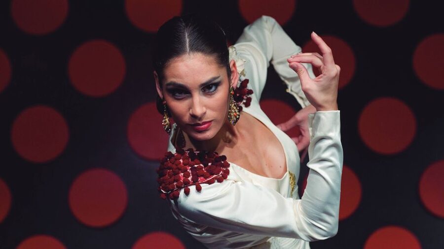 Barcelona: 4-Hour Tapas Evening Tour and Flamenco Show - Who will enjoy this Barcelona tour?