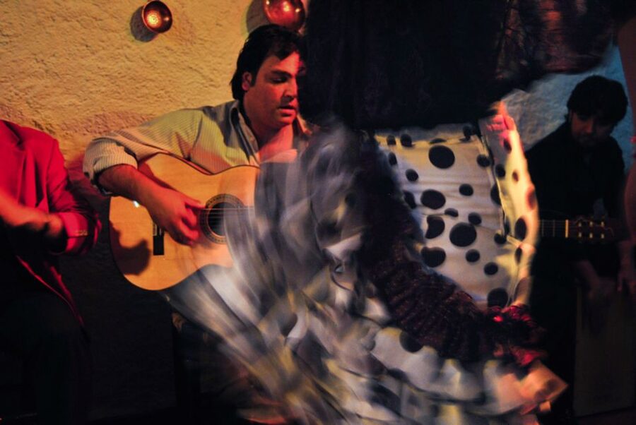 Barcelona: City Tour & Flamenco Show with Wine & Tapas - Flamenco at Palau Dalmases