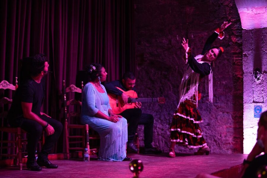 Barcelona: Flamenco Show at Palau Dalmases - Key points to know before you book