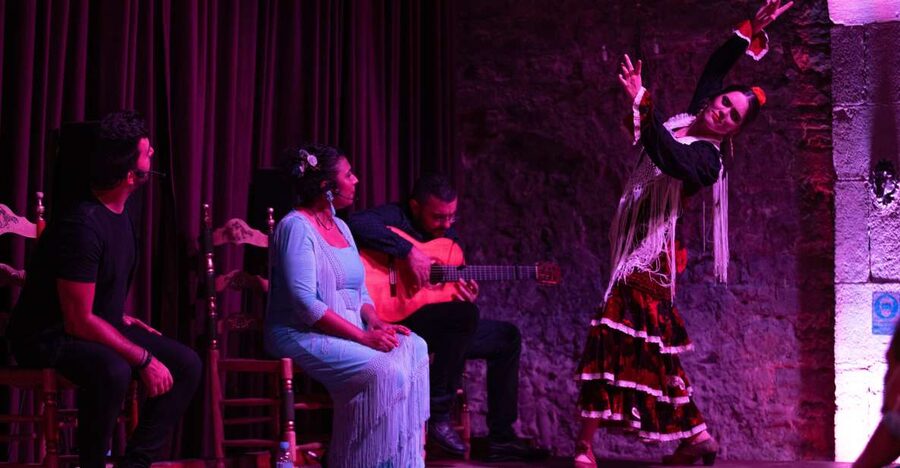 Barcelona: Flamenco Show at Palau Dalmases - Choosing between VIP, Zone A, and Zone B