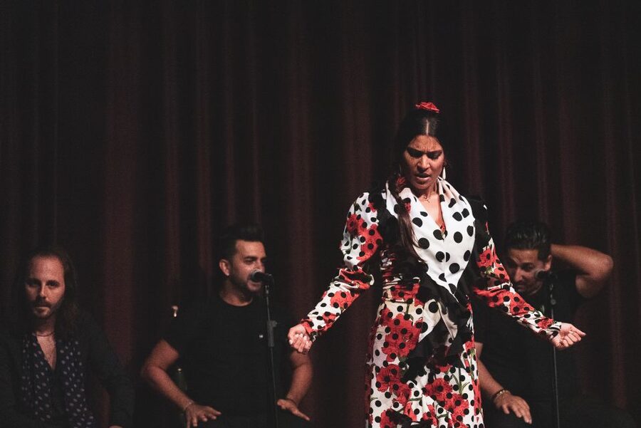 Barcelona: Flamenco Show at Palau Dalmases - What happens during the 50-minute show