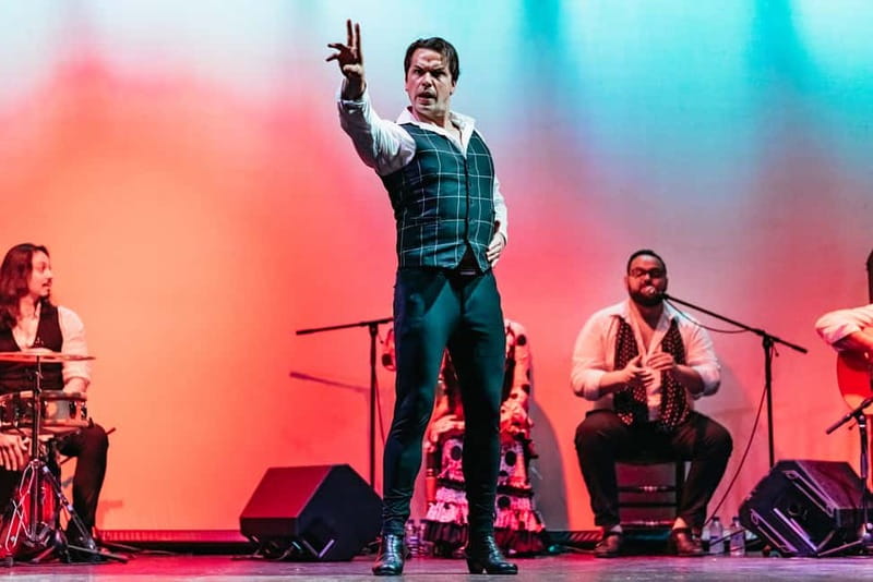 Barcelona: Flamenco Show at the Theater - What the one-hour performance gives you