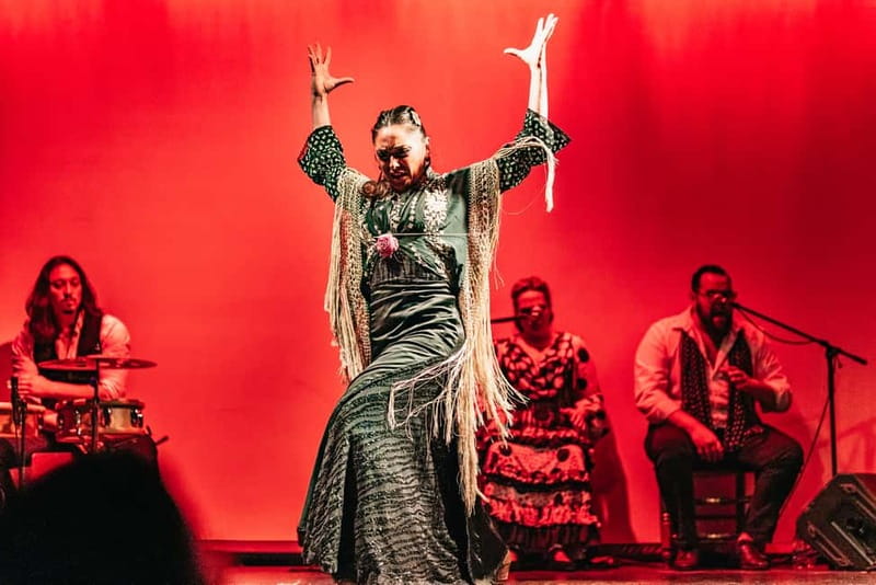 Barcelona: Flamenco Show at the Theater - The singers, guitarists, and percussionists