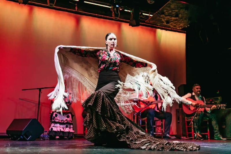Barcelona: Flamenco Show at the Theater - A few smart tips before you go