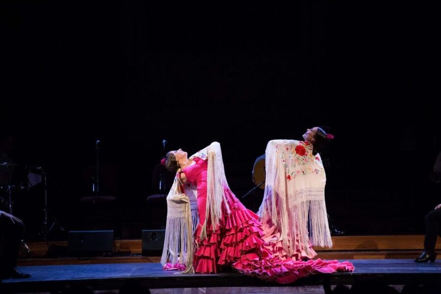 Barcelona: Gran Gala Flamenco Show Entry Ticket - Who will enjoy Gran Gala Flamenco most?